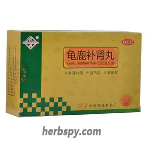 Gui Lu Bu Shen Wan for mental fatigue forgetfulness insomnia